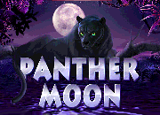 Panther Moon