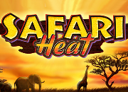 Safari Heat